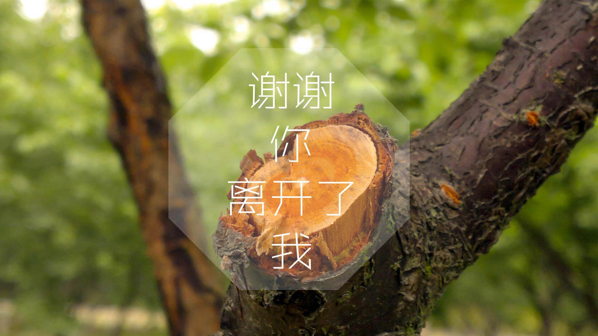 【顶级运动员】丁俊晖的训练日常，带你走进冠军的生活，丁俊晖是哪项运动员