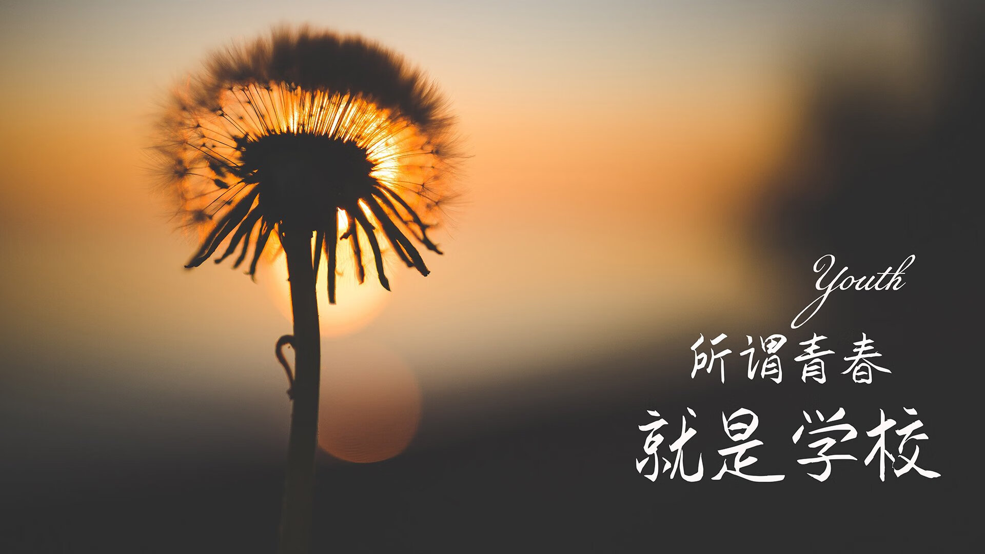 推动校园足球“长足”发展，打造青少年成长摇篮，校园足球中长期发展规划