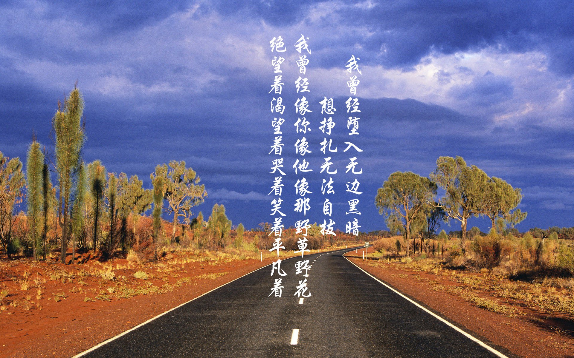 未来足球场将实现全智能管理，提升场馆运营效率，足球场管理系统