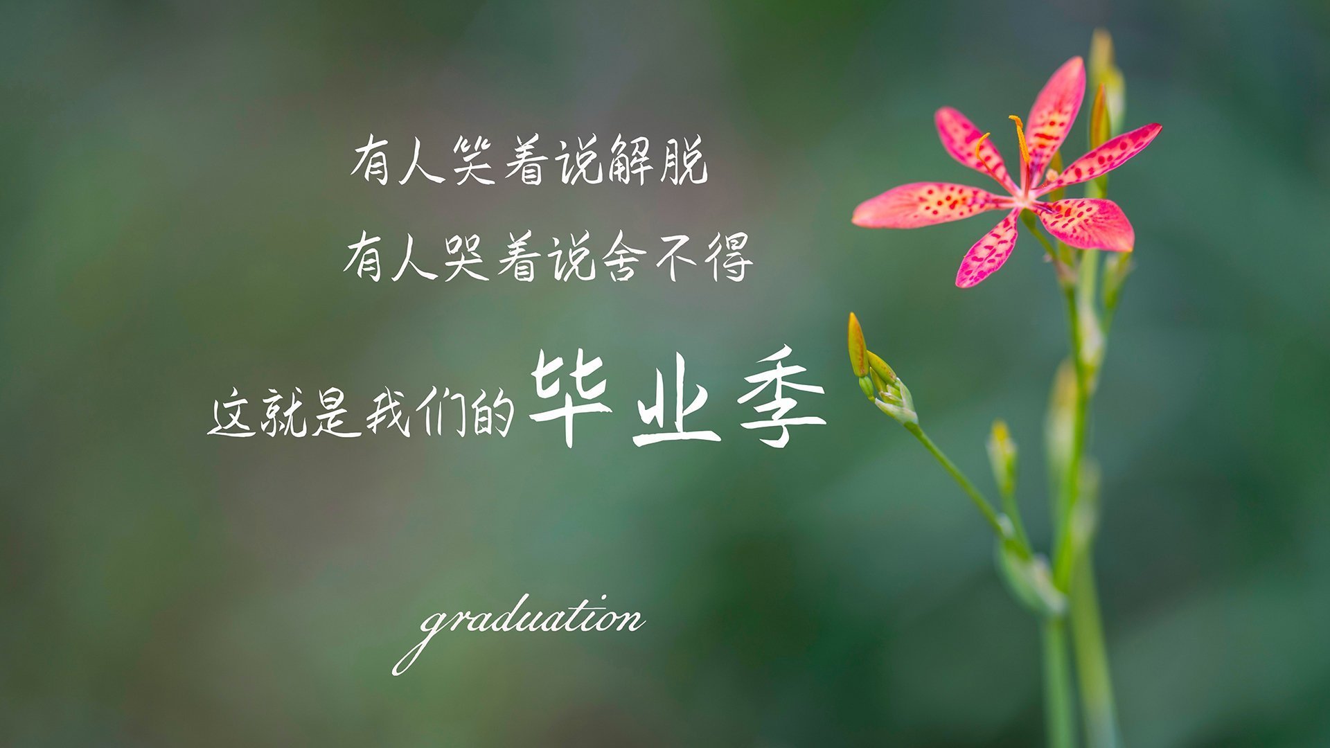 足球运动员职业培训体系完善,提升整体水平,足球技能培训流程