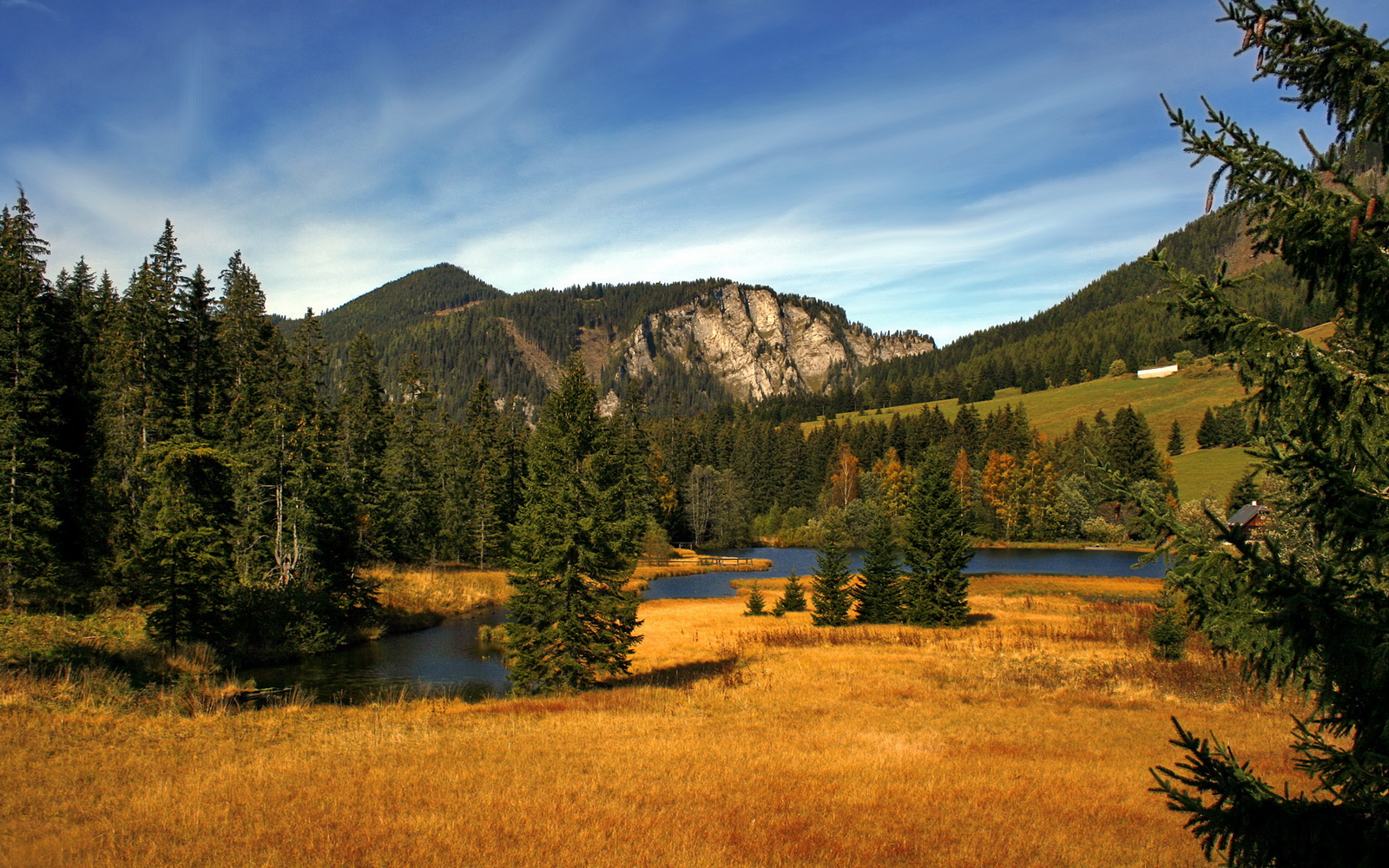 开云体育下载-《掘金球迷期待球队在休赛期进行积极操作》，掘金队球员名单最新