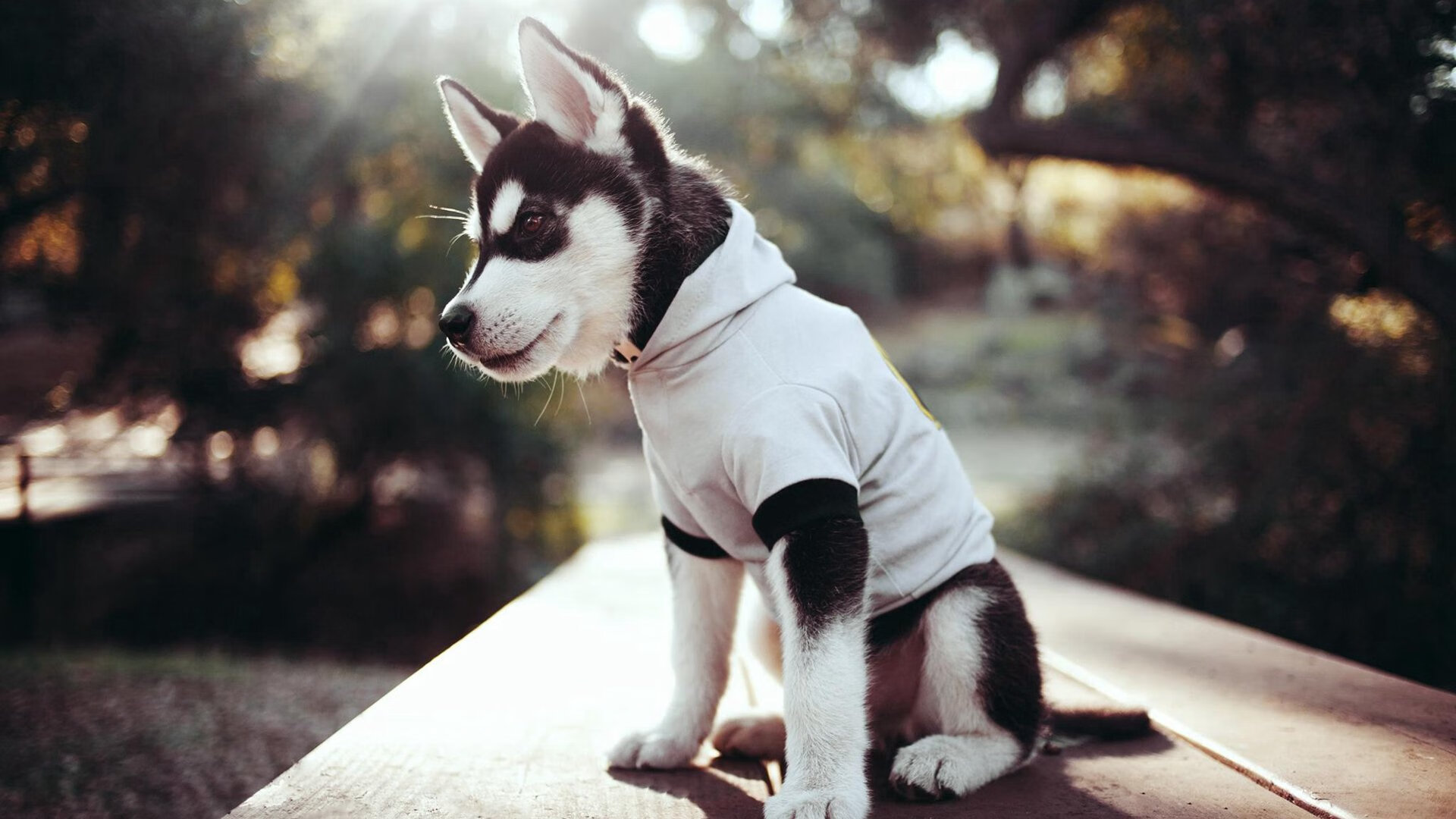 中甲联赛的俱乐部财务管理机制建设方案,俱乐部财务制度