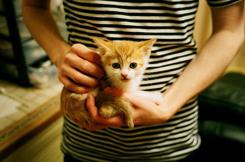 博卡青年比赛节奏掌控出色,博卡青年是什么意思