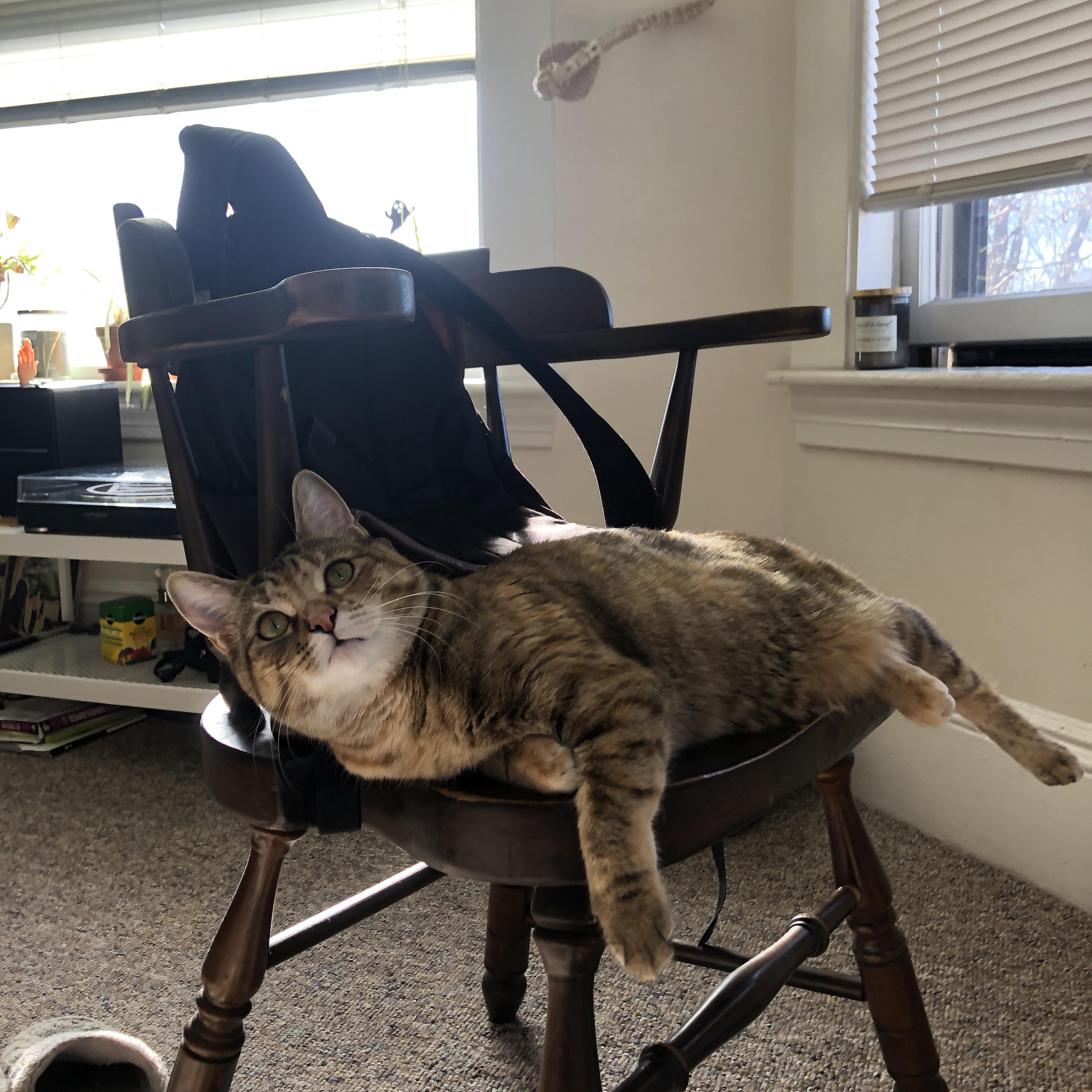 开云体育保障-巴黎圣日耳曼客场逼平南特，艰难保持不败战绩，巴黎圣日耳曼亮相仪式