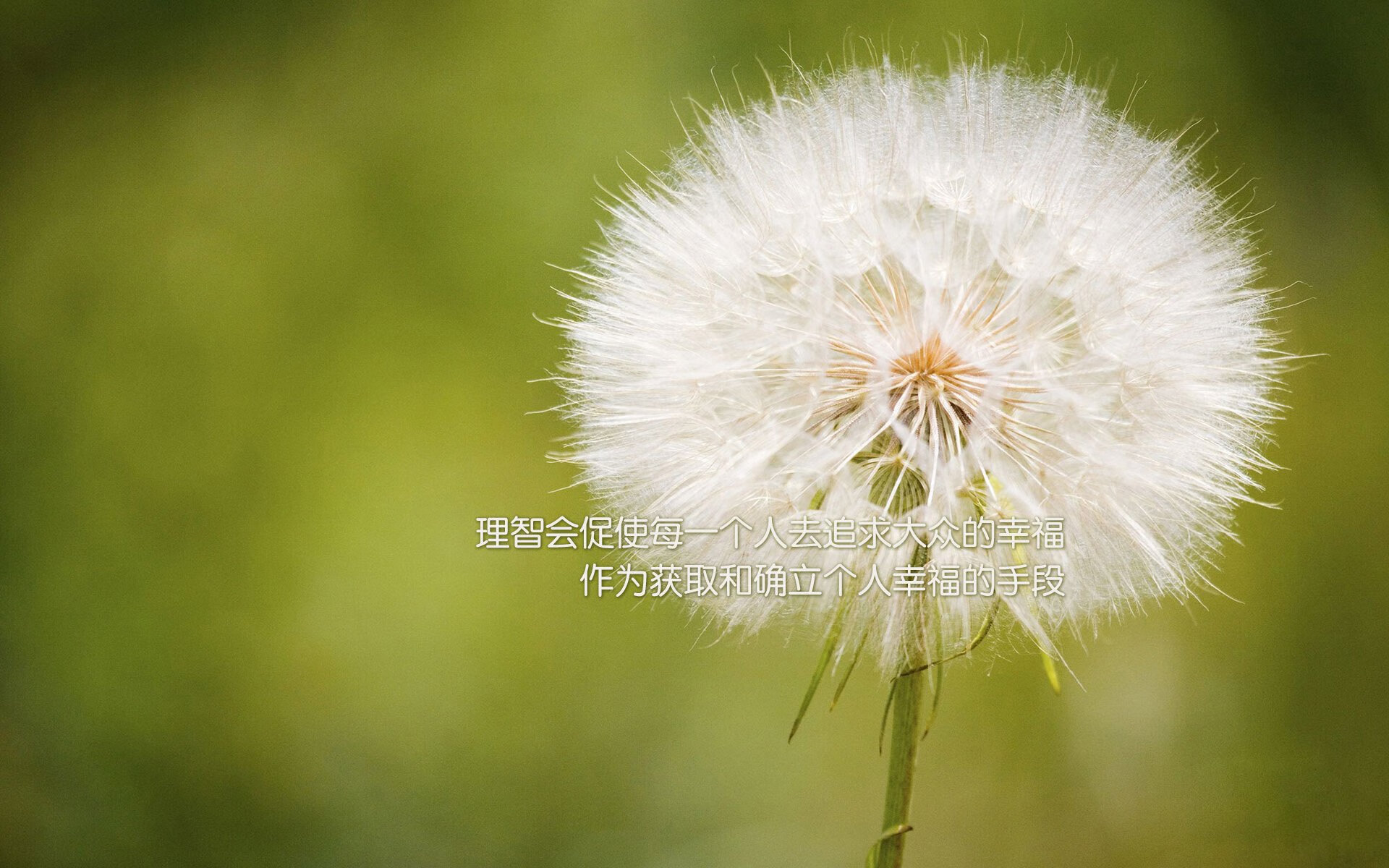 开云体育下载入口-莱斯特城签下新援，增强阵容深度，莱斯特城首发阵容