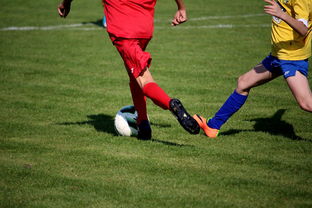 开云体育官方app-世界马拉松大满贯赛事上海站开跑，世界马拉松大满贯赛事上海站开跑时间