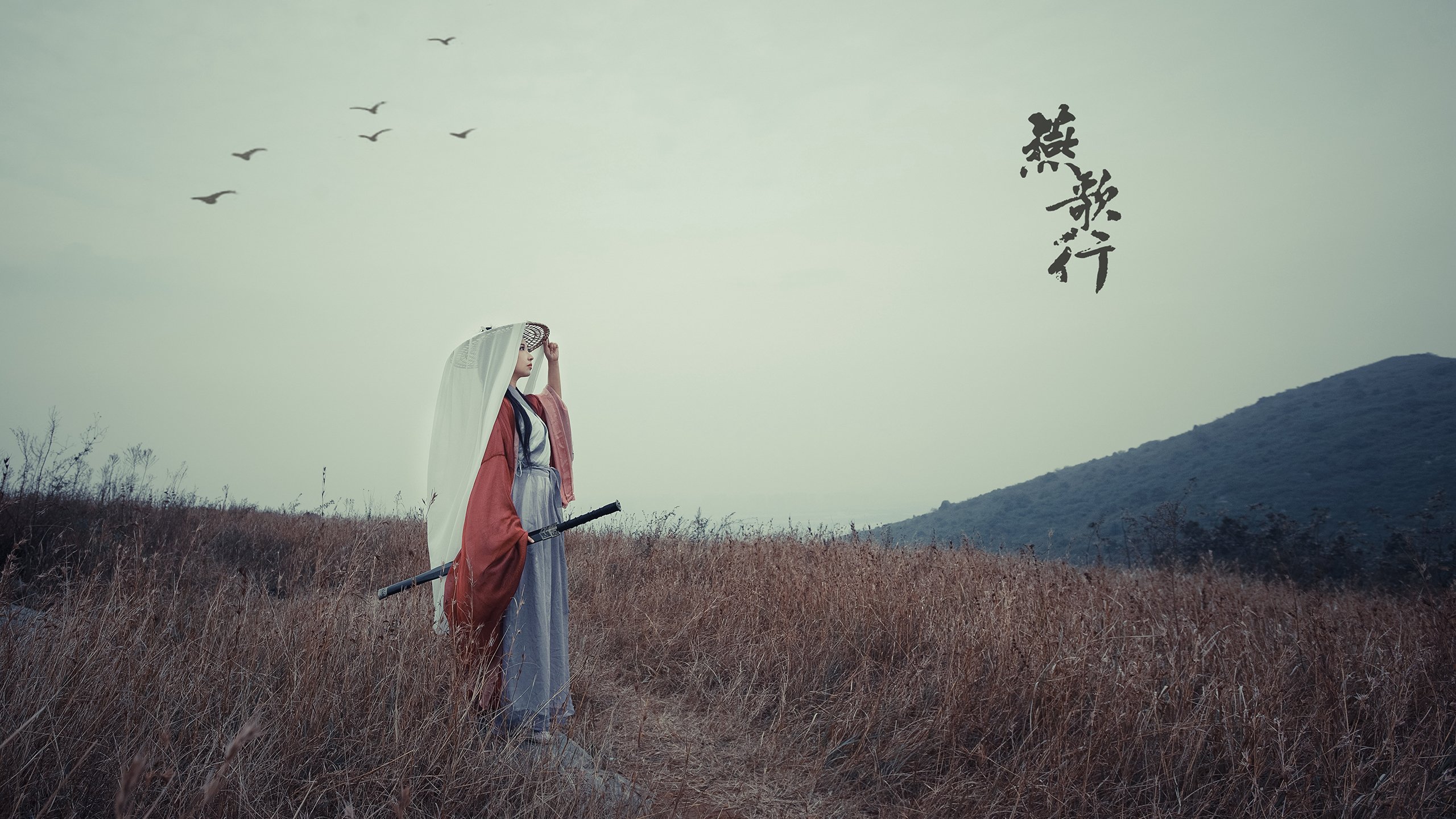 中国青少年篮球发展区域差异及均衡发展研究,全国青少年篮球特色