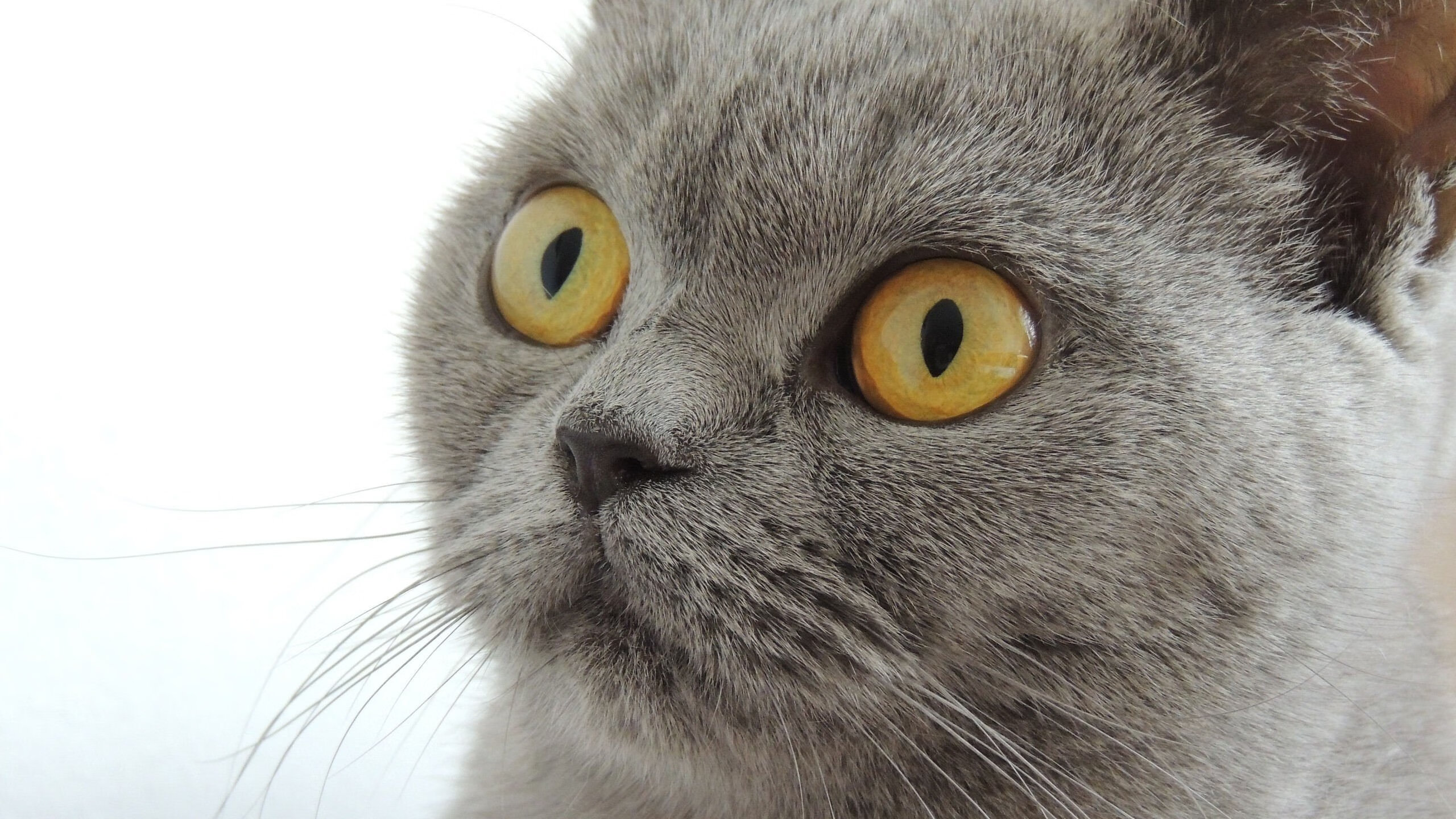 西甲球队采用机器学习预测对手进攻趋势案例,西甲预测分析jman02。in