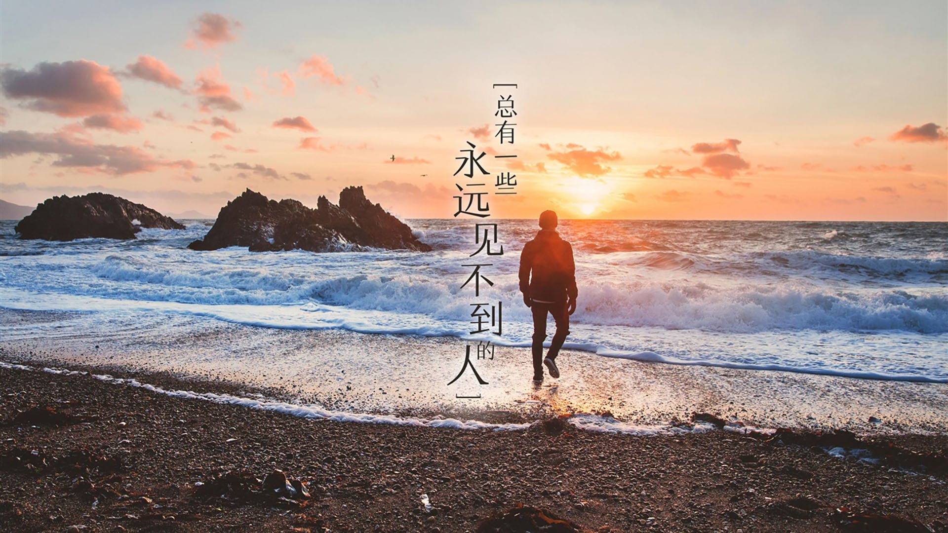 体育新闻中心主办体育文化数字化创新交流大会,数字化体育赛事