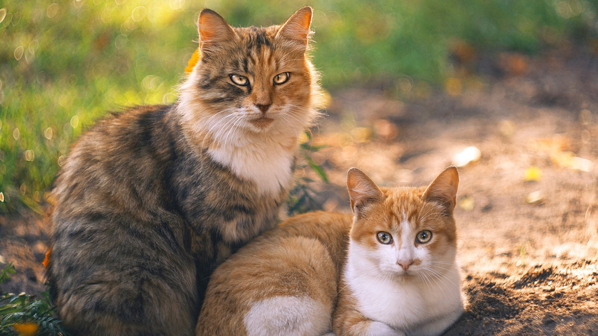 博卡进攻停留在外围,缺少深入打击,博卡啥意思